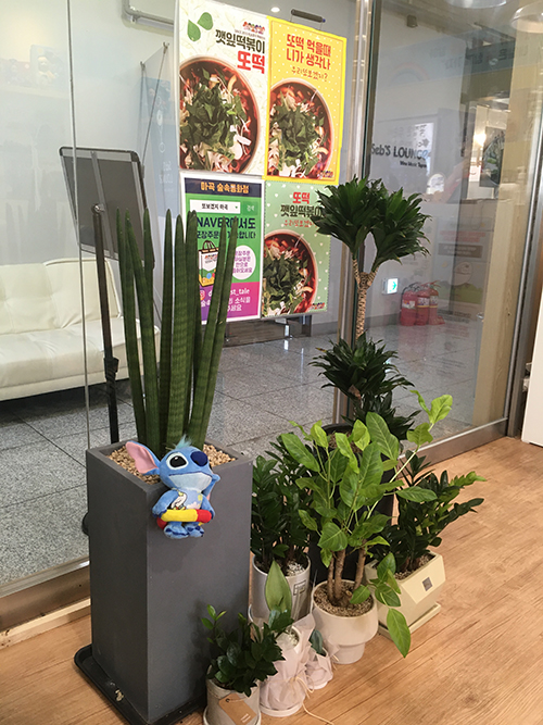 또보겠지-떡볶이집-내부2