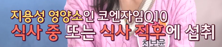 코엔자임큐텐 복용법