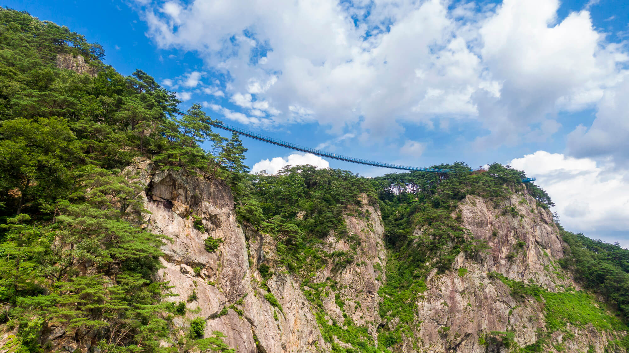 소금산출렁다리 입장료 맛집