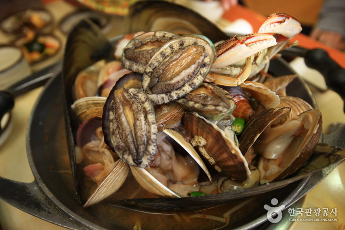 제주 비체올린 능소화축제