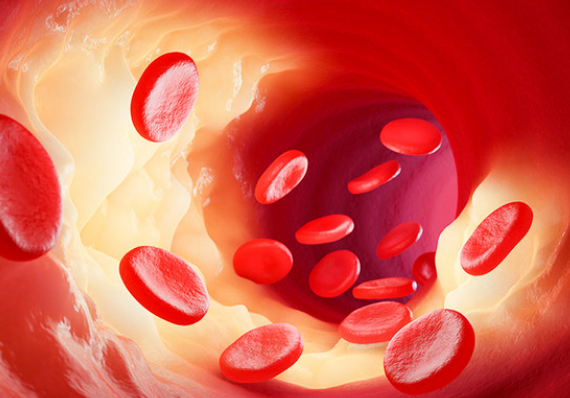 고지혈증 약 장기 복용 시 부작용