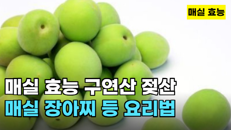 건강한맛
