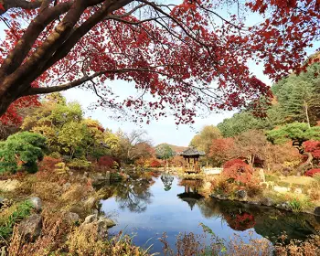 아침고요수목원_4