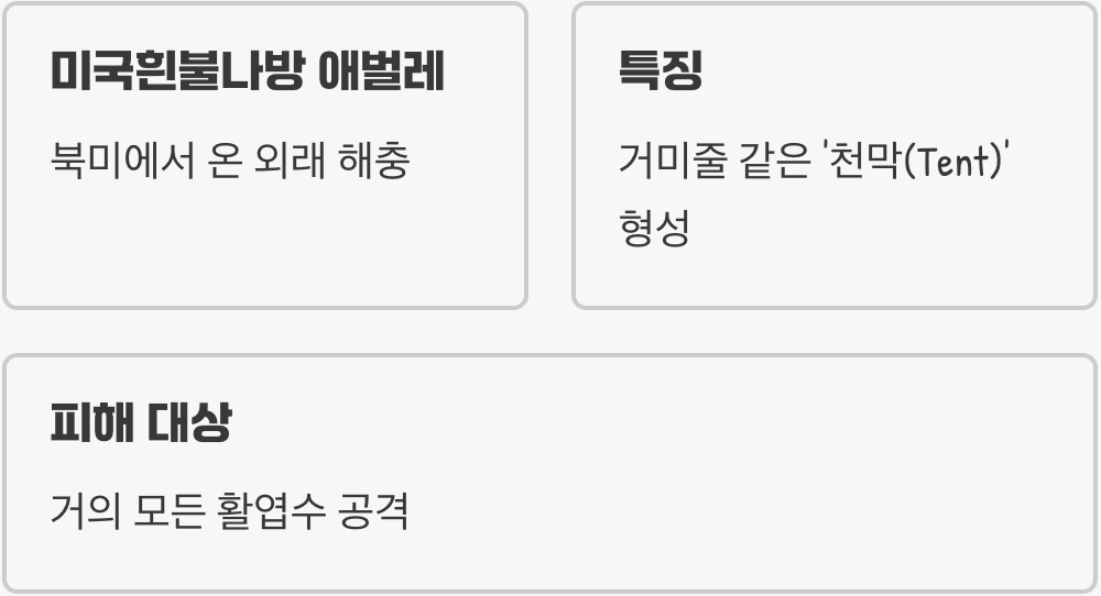 1. 이 거미줄 털벌레, 정체는?