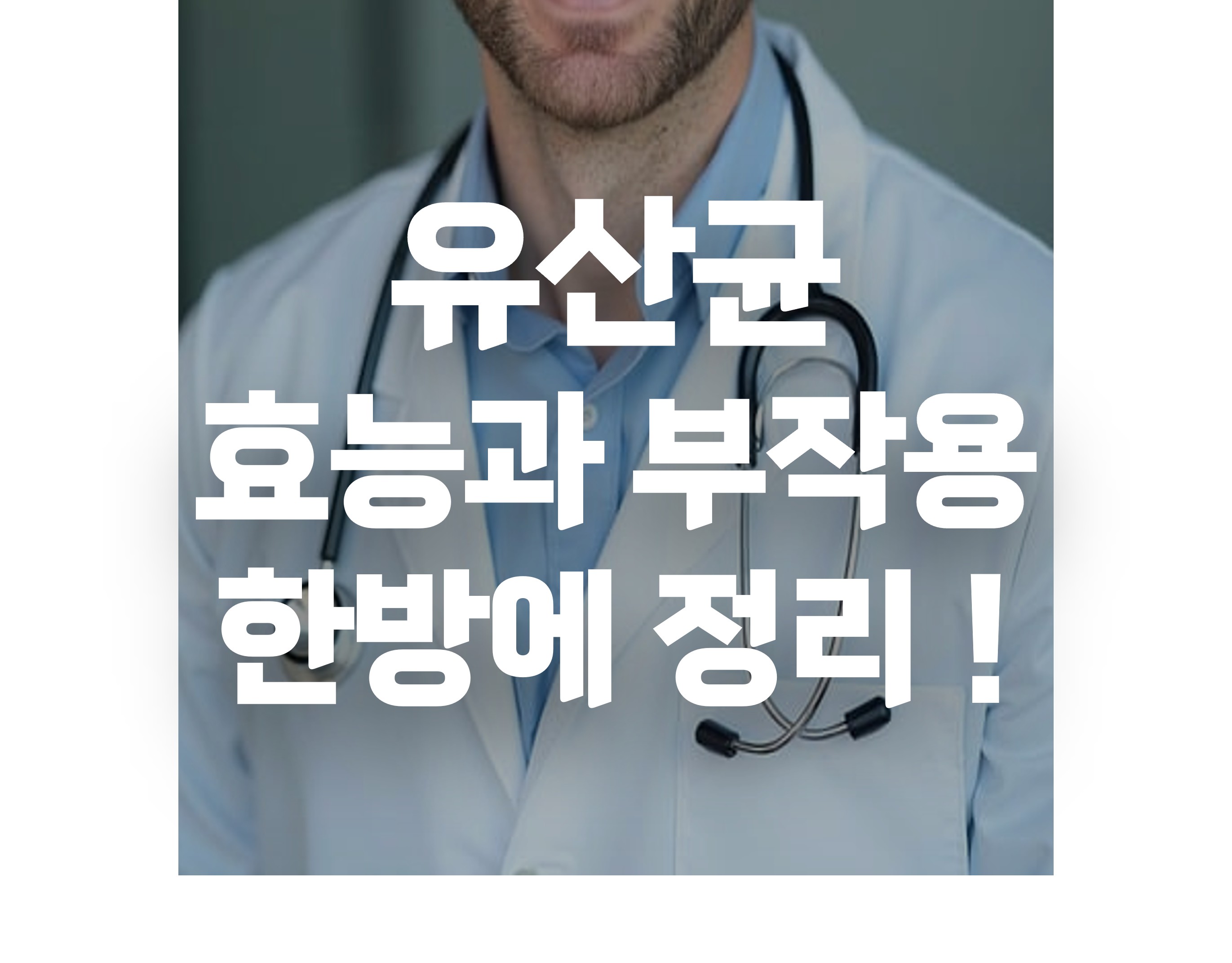 유산균 효능과 부작용