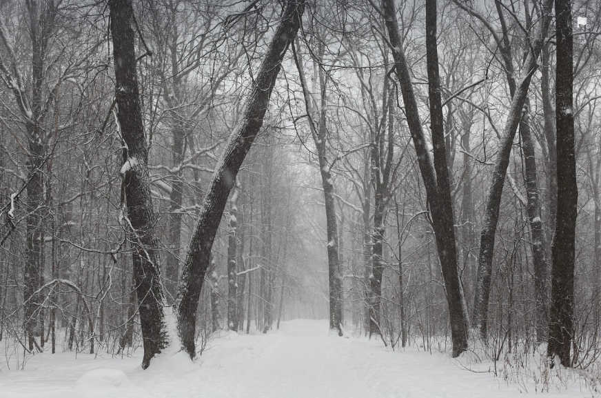함양 겨울여행, 산삼 엑스포공원 즐기기 가이드 관련사진