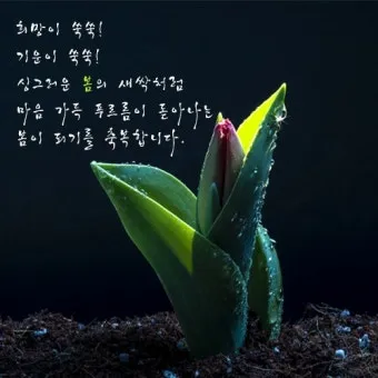 봄 인사말 모음 예시 메일_20