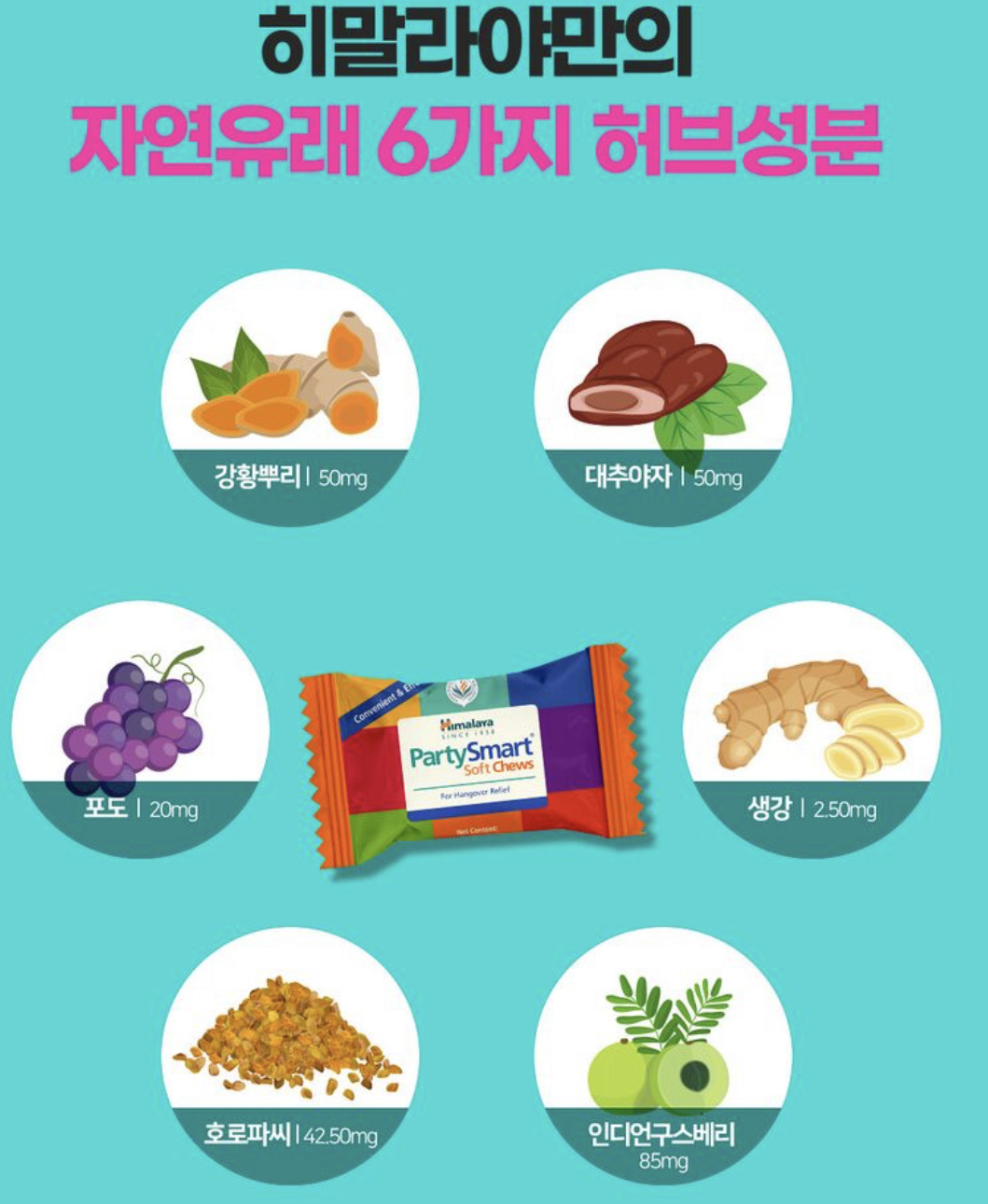 성분표4