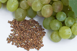 포도씨유의 효능11