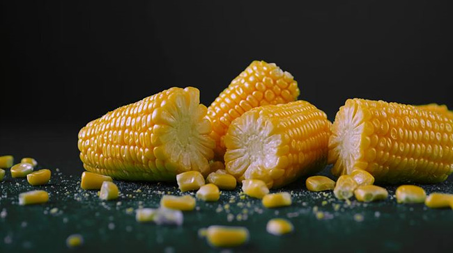 초당 옥수수 사진,출처: unsplash 사진 제공