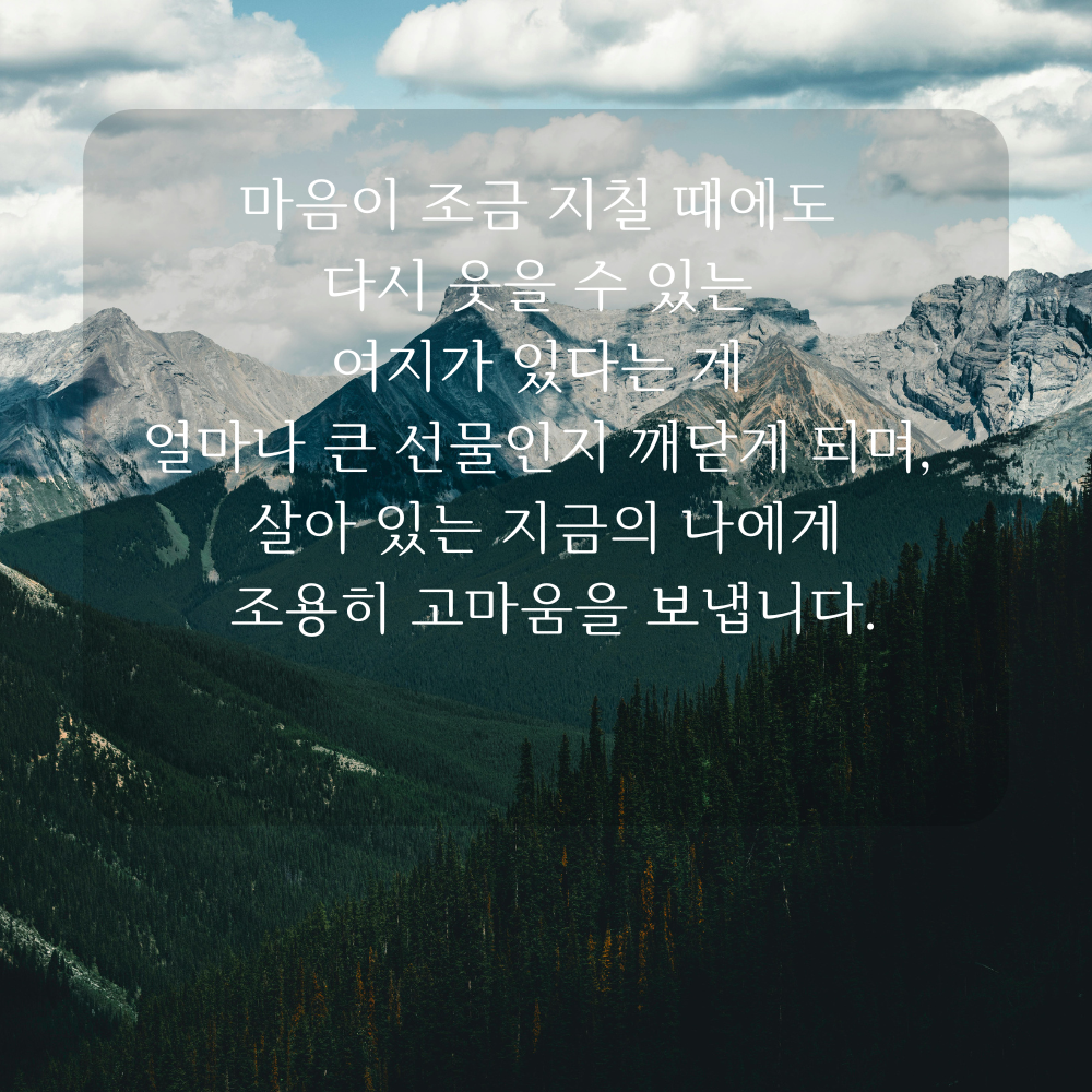 감사 글귀 좋은글 이미지 문구