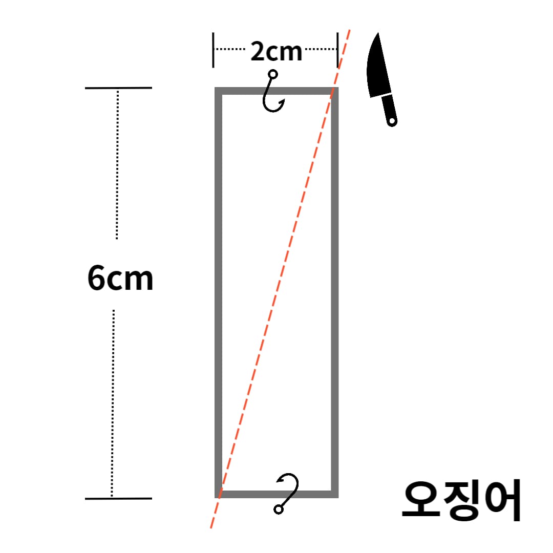 오징어-손질법