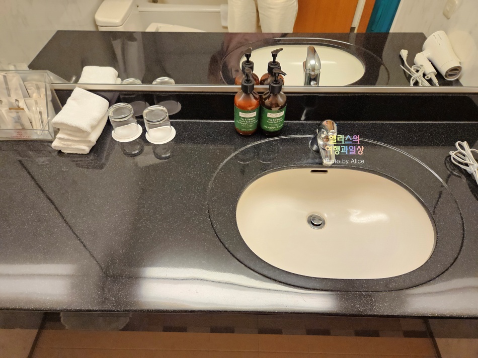 아나 크라운 플라자 도야마 호텔 더블 프리미엄 룸 투숙후기