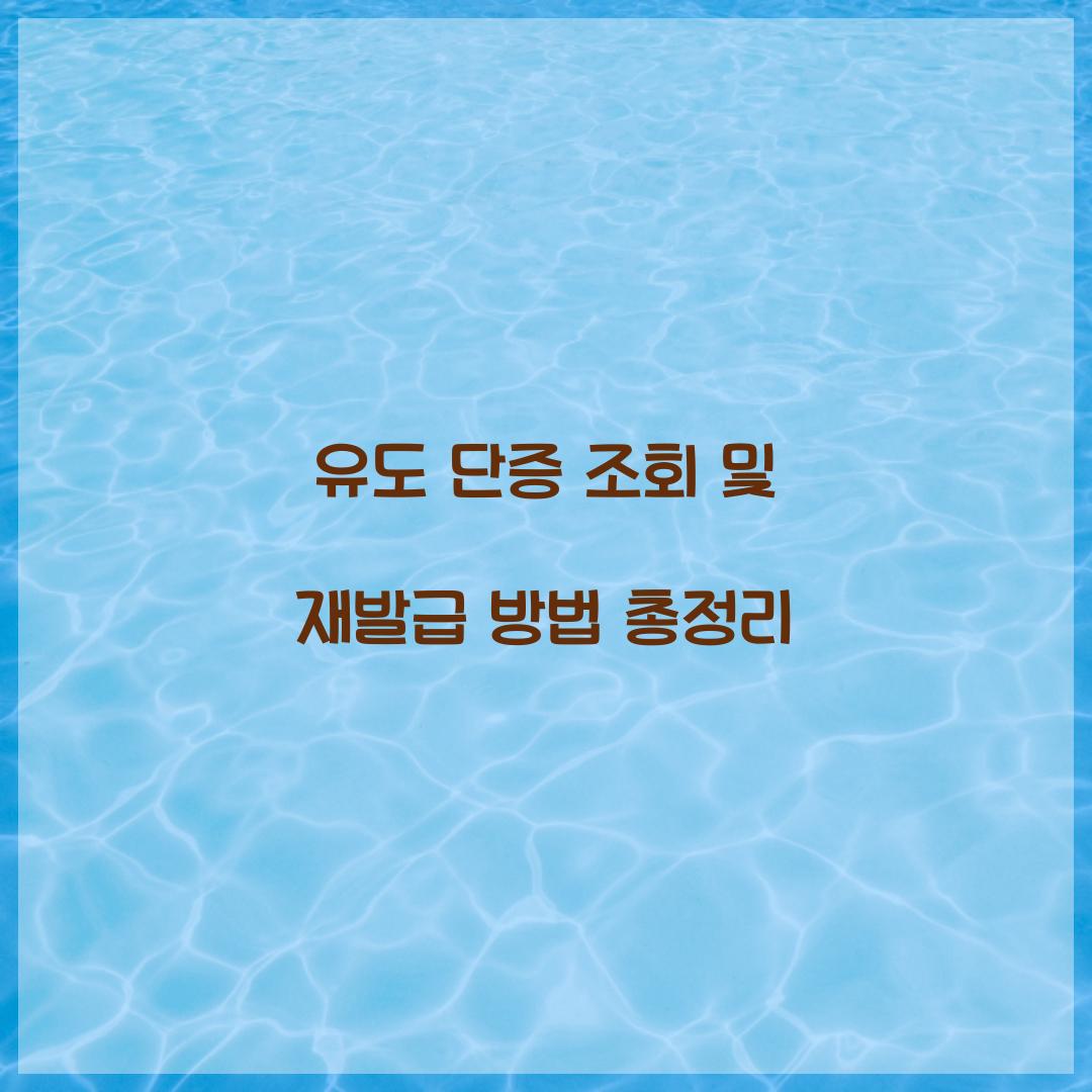 유도 단증 조회 및 재발급