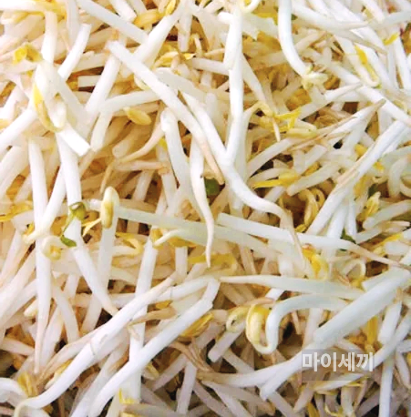 피부효능 콩나물