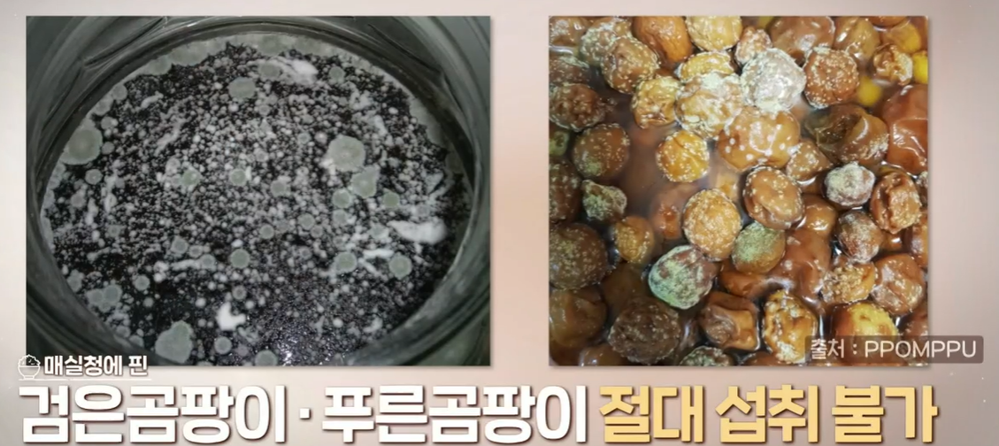 매실청 담그는 법