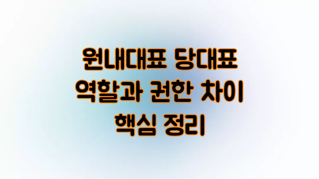 원내대표 당대표 역할과 권한 차이 핵심 정리