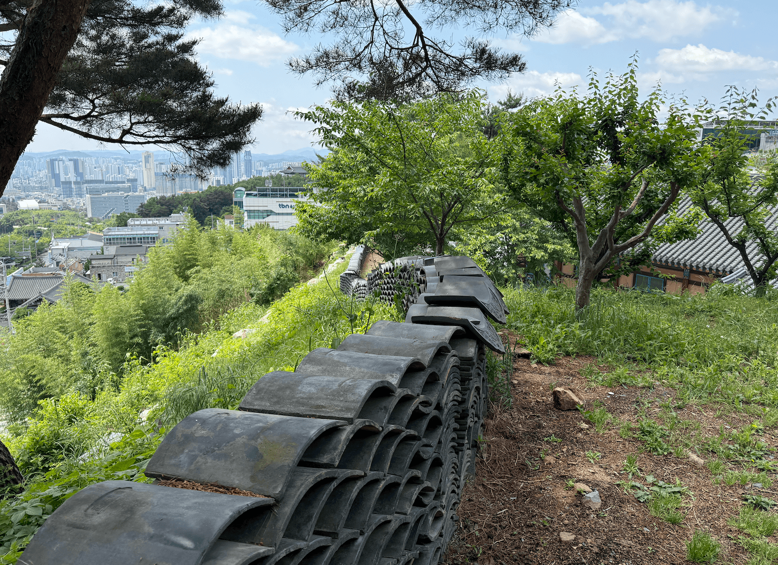 울산 백양사