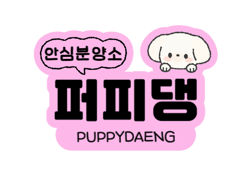 퍼피댕 강아지분양 안심분양소 광명점말티푸미니비숑토이푸들