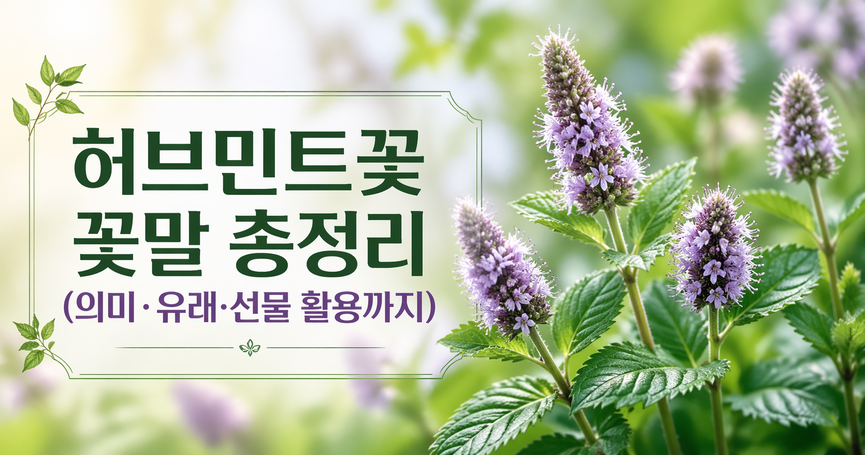허브민트꽃 꽃말