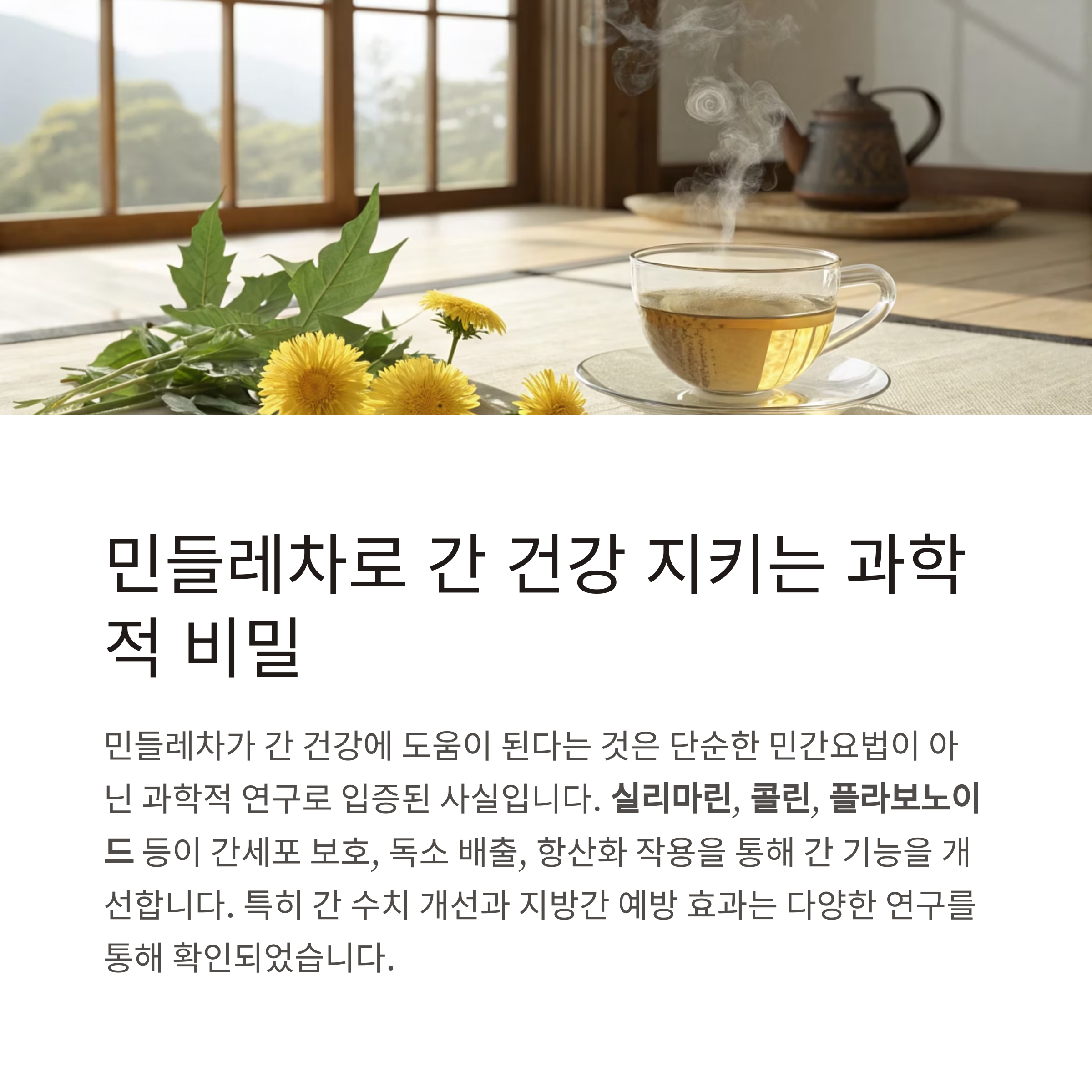 민들레차 효능
