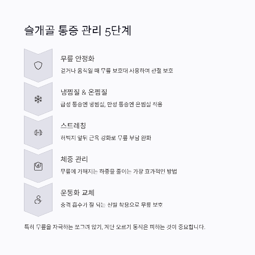 무릎 앞 통증의 원인과 관리법, 슬개골 통증에 좋은 관절 영양제 추천