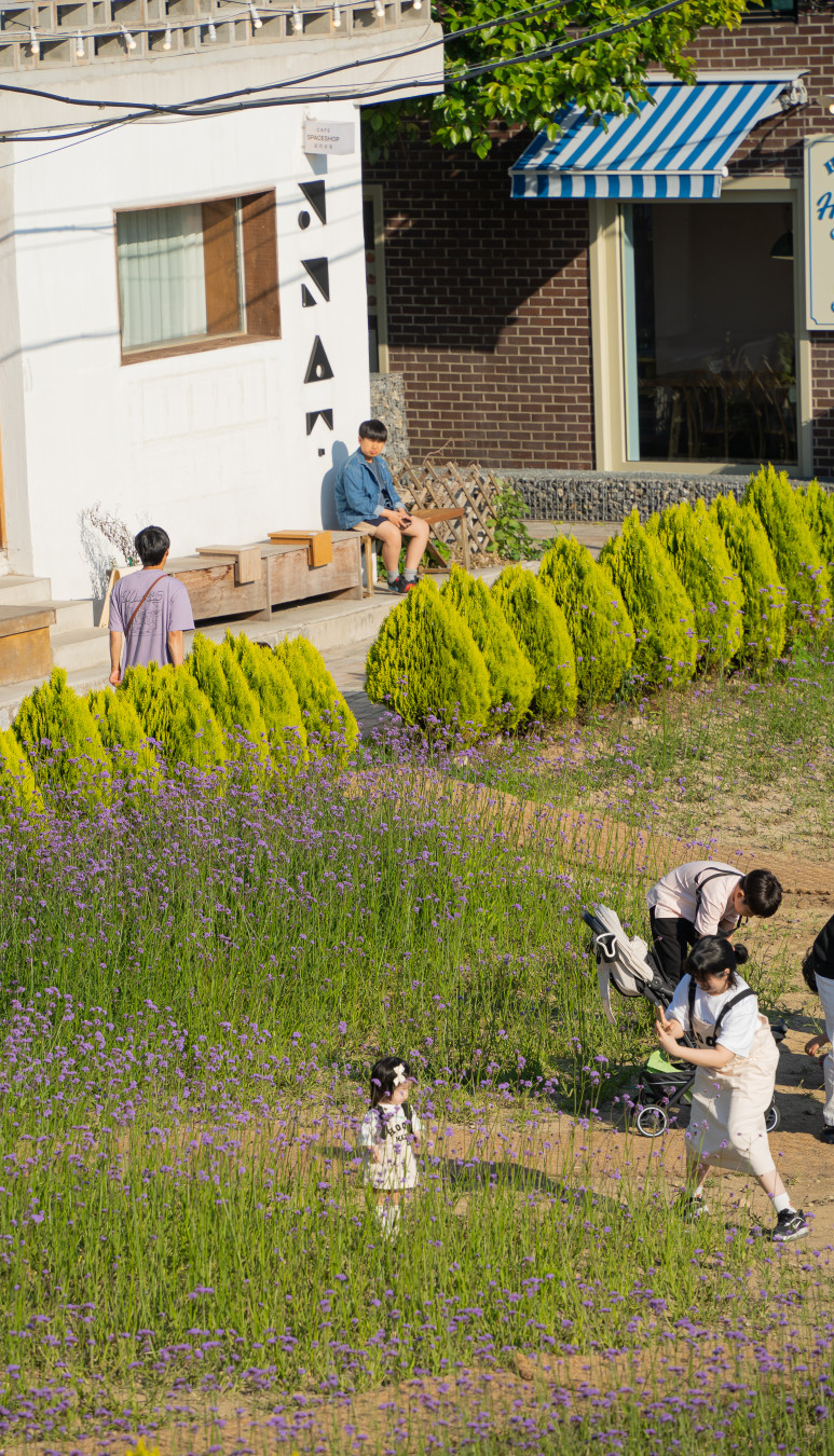 수원 팔달산 행궁광장
