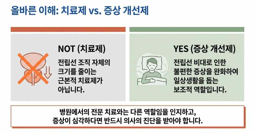 카리토포텐-사진8