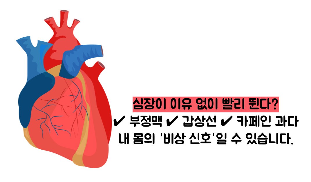 심장 두근거림 원인