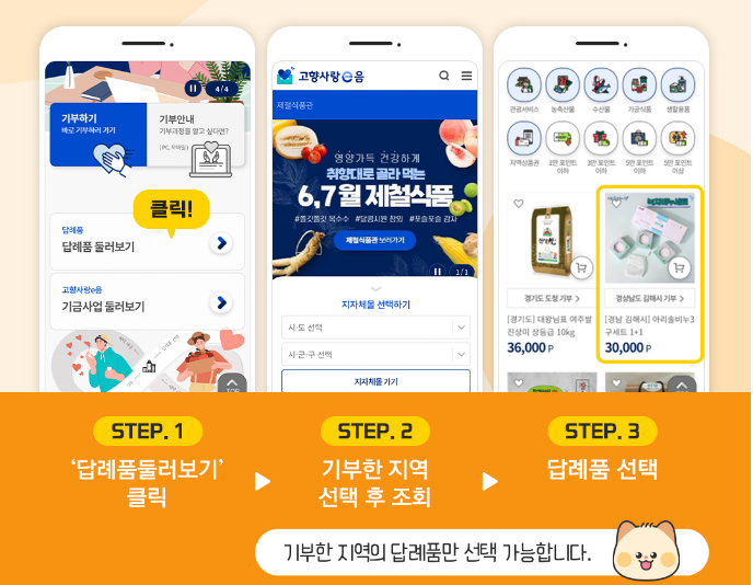 고향사랑기부온라인 방법(출처:행정안전부 고향e음 홈페이지)