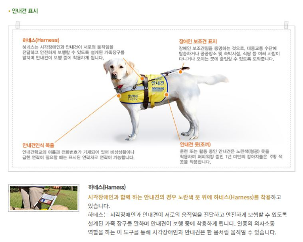 안내견 장비