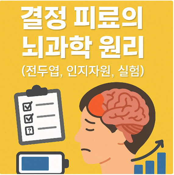 결정 피로의 뇌과학 원리 (전두엽, 인지자원, 실험)