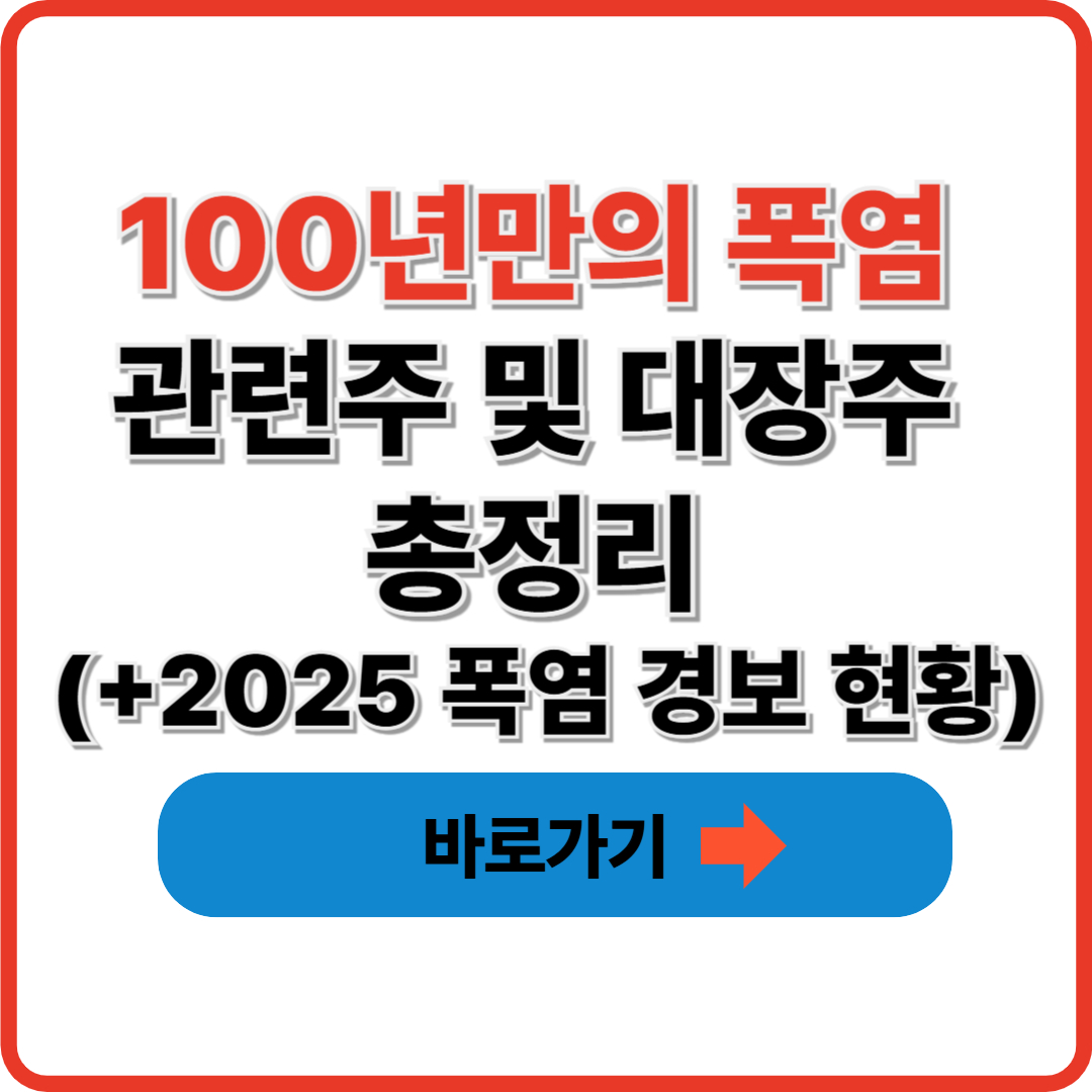 100년만의 폭염 관련주 및 대장주 총정리 (+2025 폭염 경보 현황)