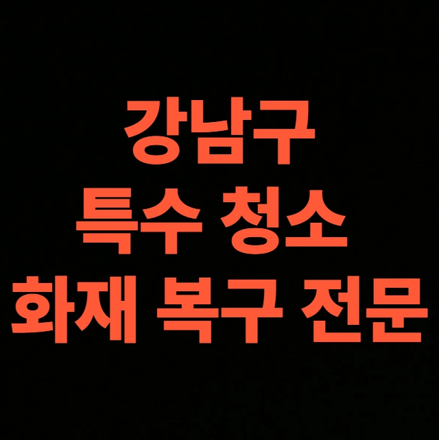 서울 강남 화재청소