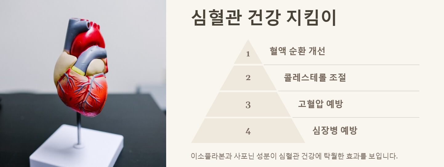 칡즙 효능 부작용 복용법