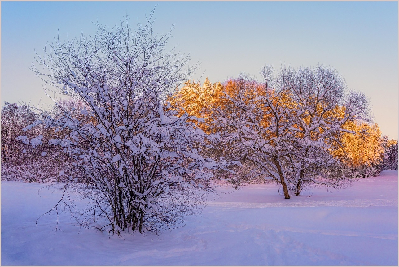 그랜저 하이브리드 가격표