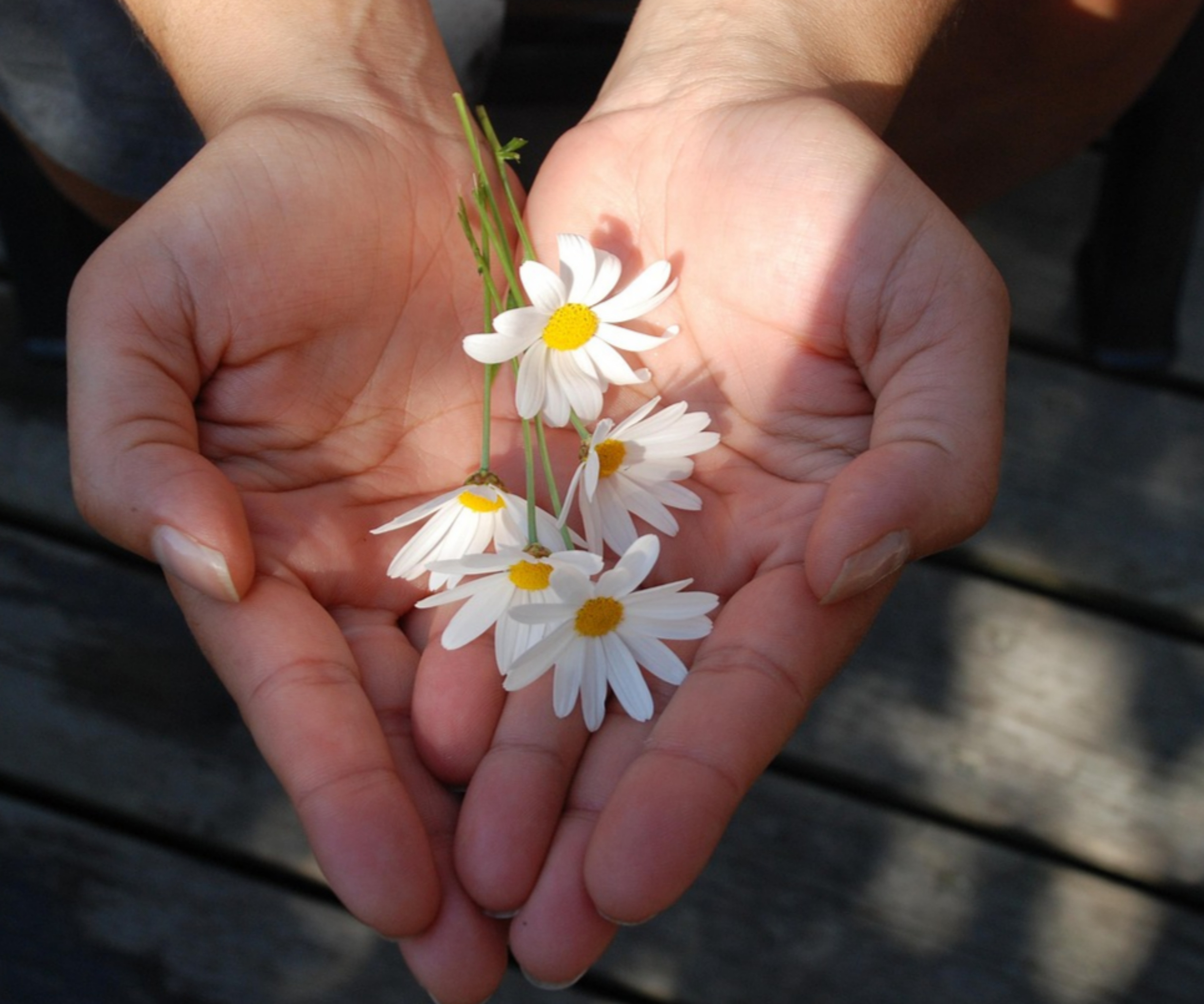 2025 정부 지원금, 놓치면 후회할 필수 혜택