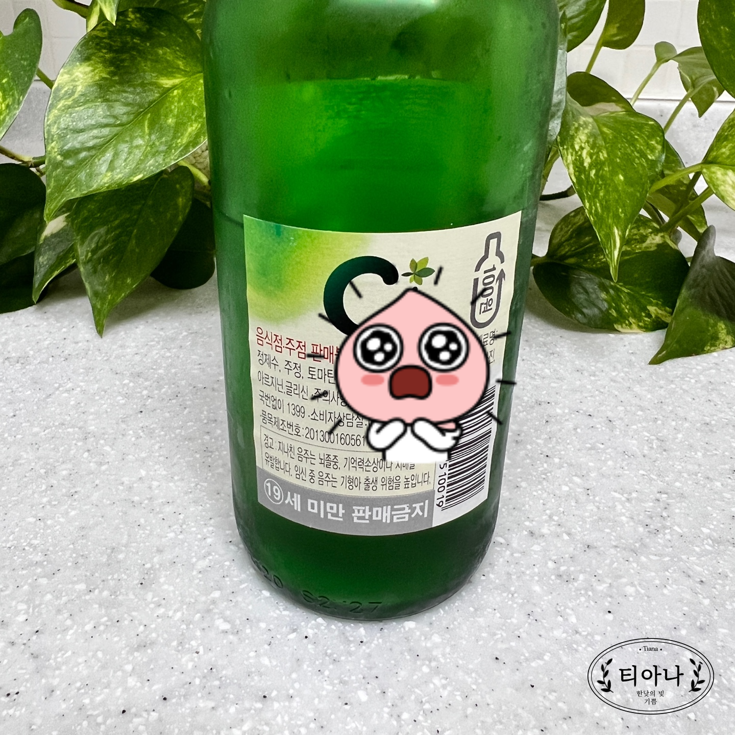 다이어트 중에 술 마셔도 될까요? 마실 때 안주는?