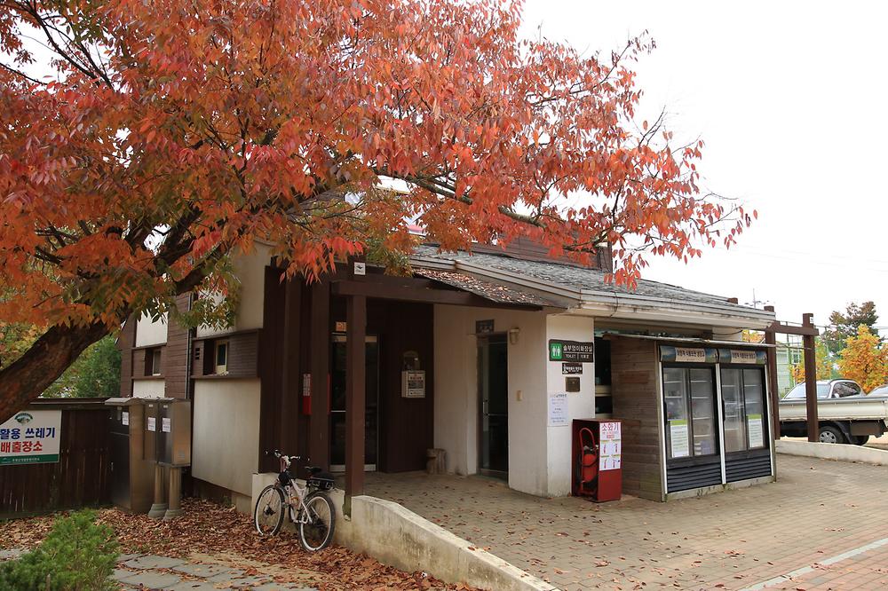 상의자동차야영장. 경상북도 청송군 주왕산면 상의리 368