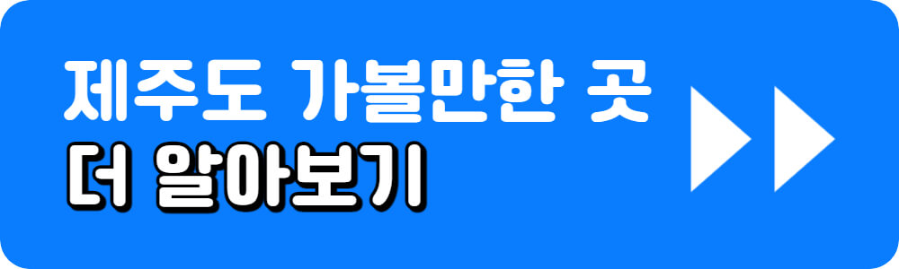5월 국내여행지 추천 36