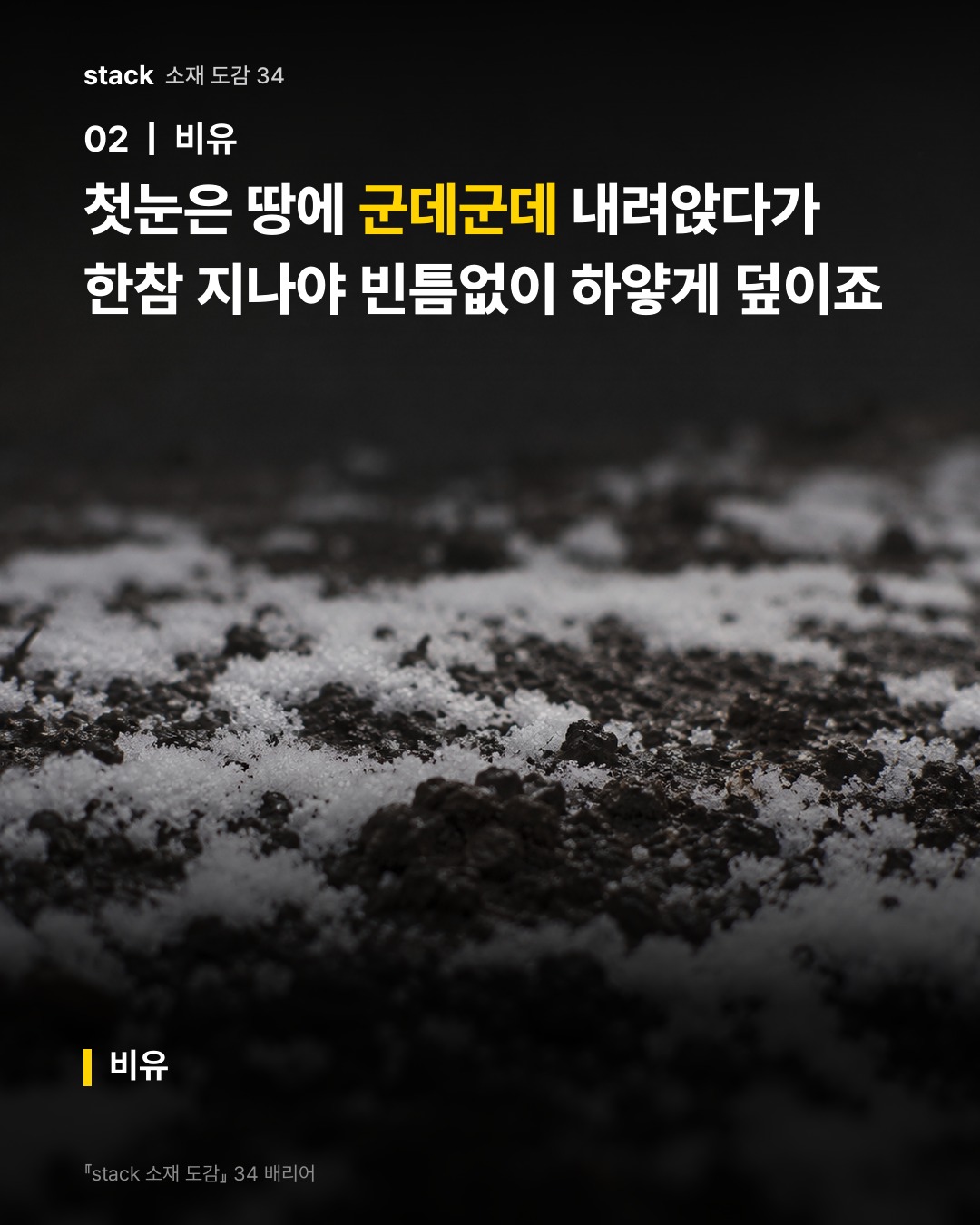 첫눈은 땅에 군데군데 내려앉다가 한참 지나야 빈틈없이 하얗게 덮이죠 (비유)