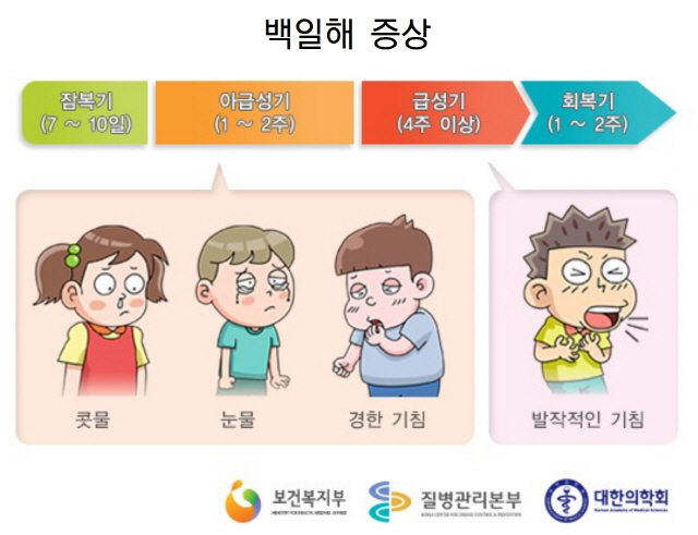 백일해증상 사진