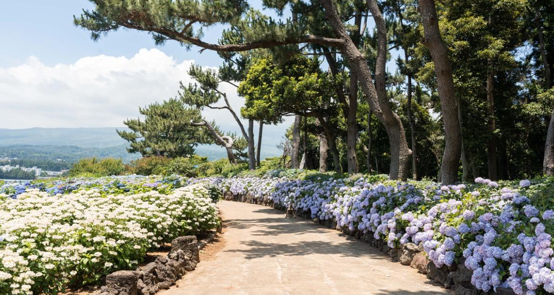 가을 국내 여행지 추천 BEST 4 여행하기 좋은곳