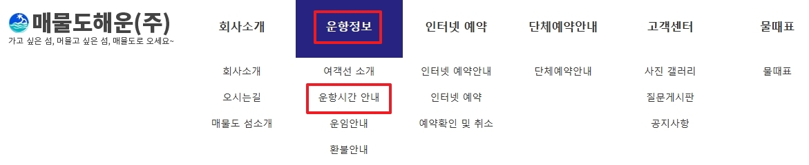 홈페이지 상단 메뉴에서 운항정보를 확인하는 모습