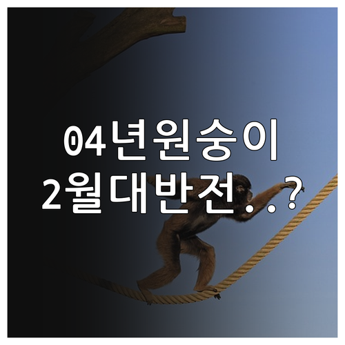 2004년생 원숭이띠 2월 분야별 운..