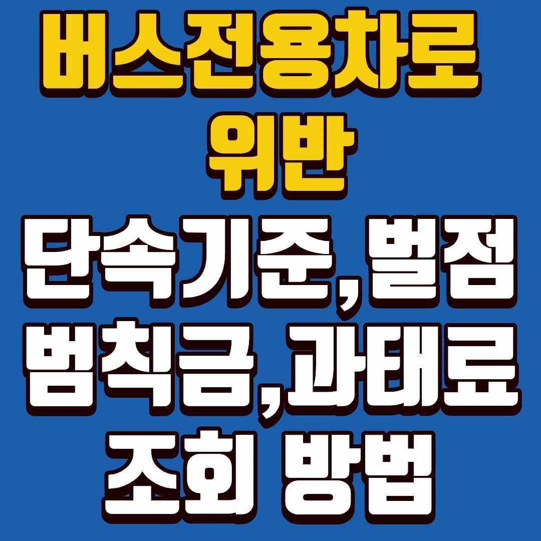 버스전용차로-썸네일