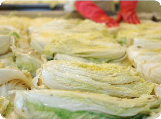 괴산 절임배추 20kg 직거래 가격 이미지 /츨처: SSG이마트몰