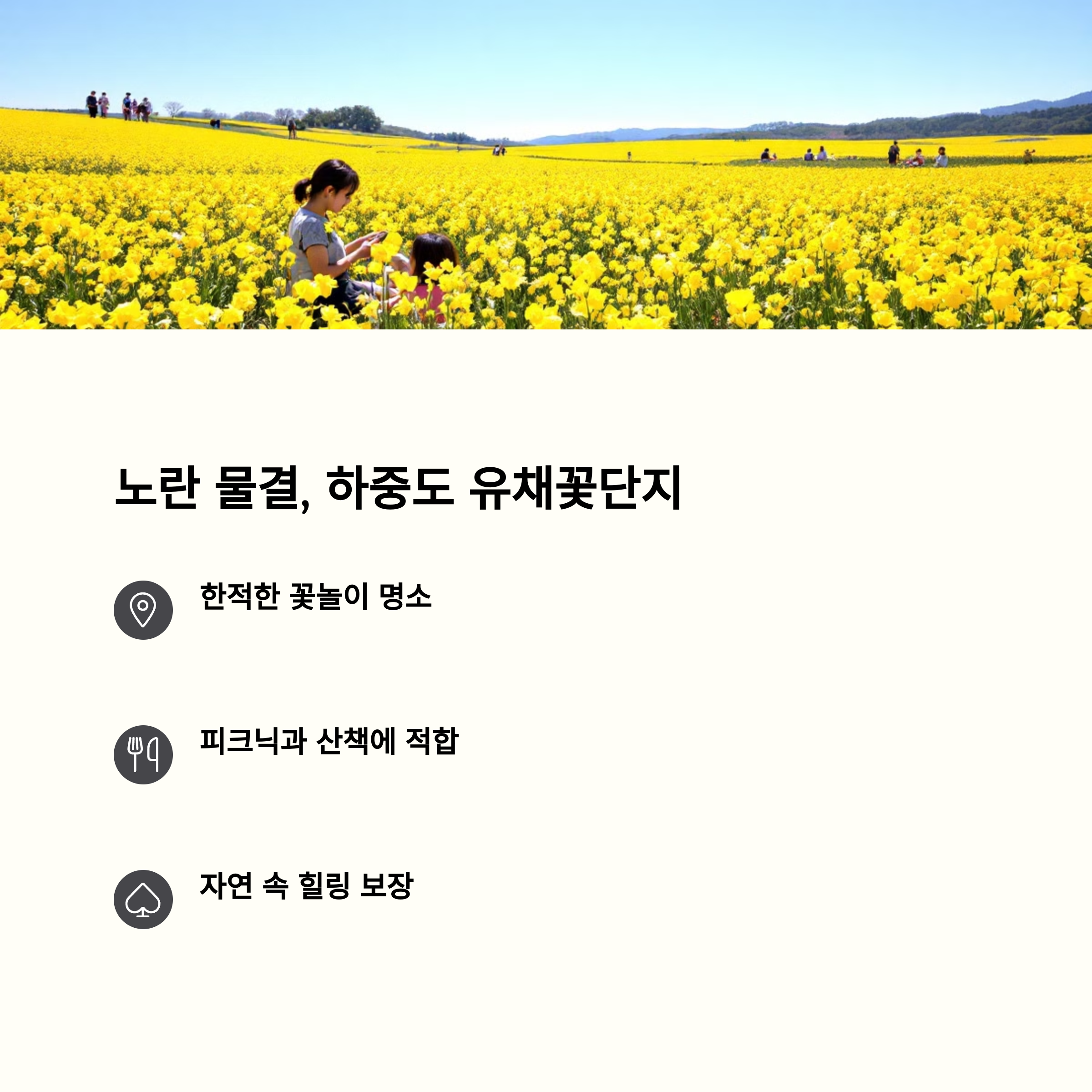 하중도 유채꽃단지