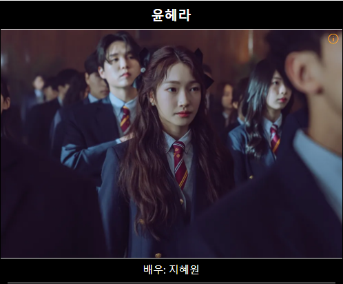 넷플릭스 하이라키