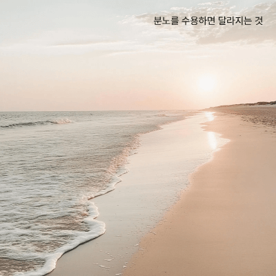 분노와 미움, 어떻게 수용할까｜내 마음을 품는 법
분노와 미움, 어떻게 수용할까｜내 마음을 품는 법